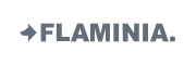 brand_FLAMI